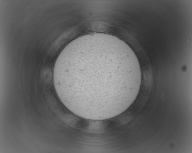 X0000115730705200912241626