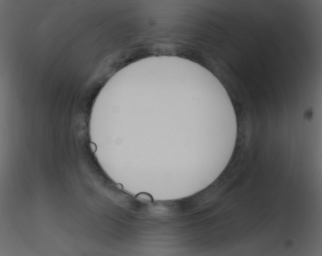 X0000115730706200912241626