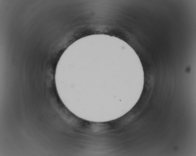 X0000115730707200912241626