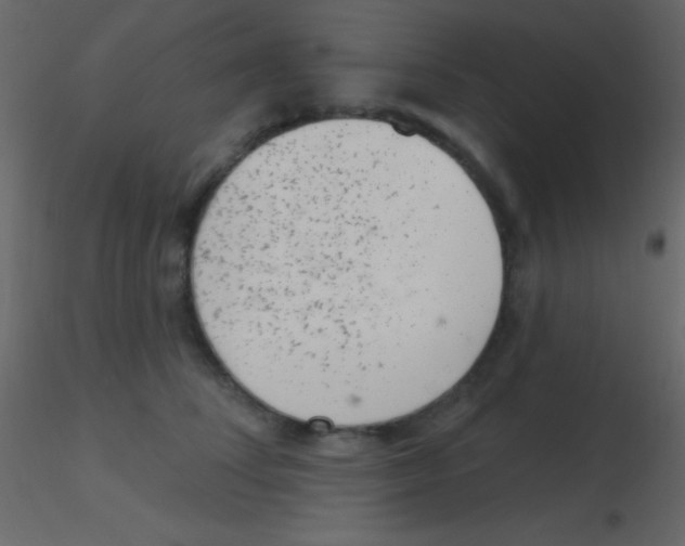 X0000115730708200912241626