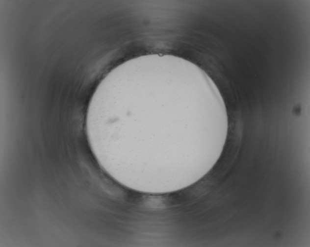X0000115730710200912241626