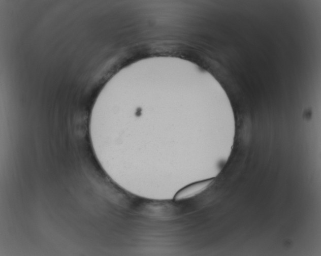 X0000115730712200912241626