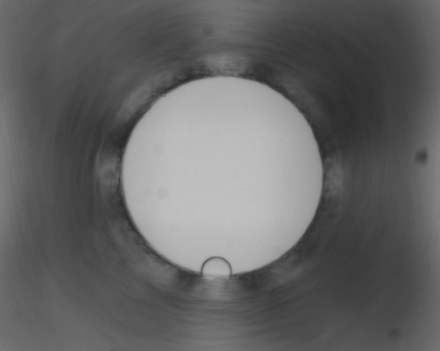 X0000115730713200912241626