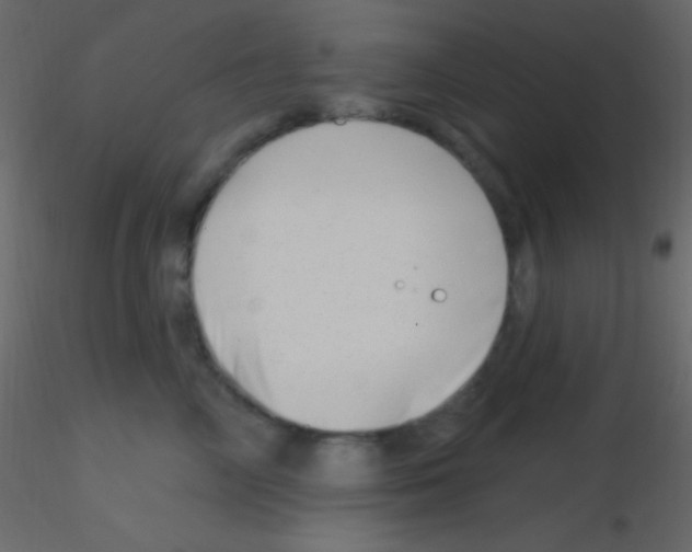 X0000115730714200912241626