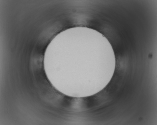 X0000115730717200912241626