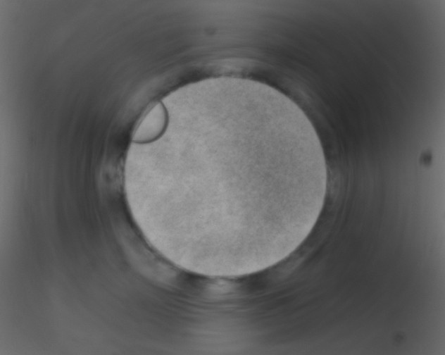X0000115730718200912241626