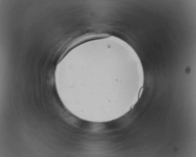 X0000115730719200912241626