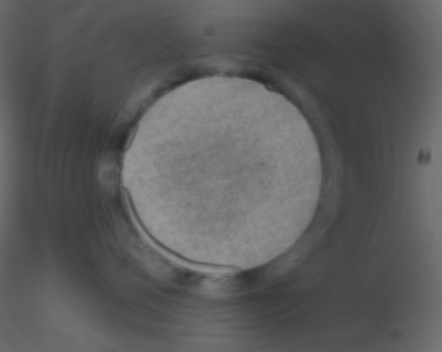 X0000115730720200912241626