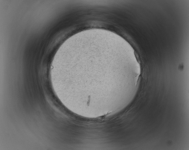 X0000115730722200912241625