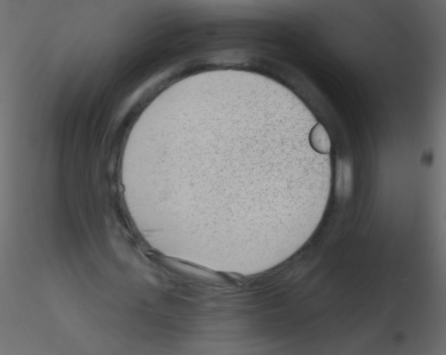 X0000115730723200912241625