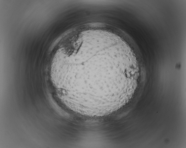 X0000115730725200912241625
