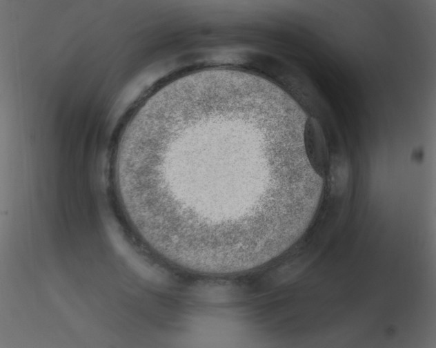 X0000115730726200912241625