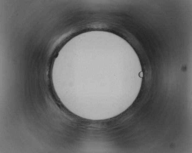 X0000115730727200912241625