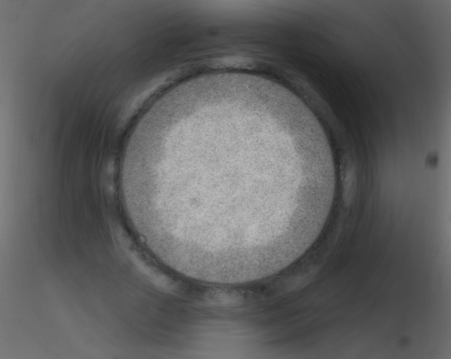 X0000115730729200912241626