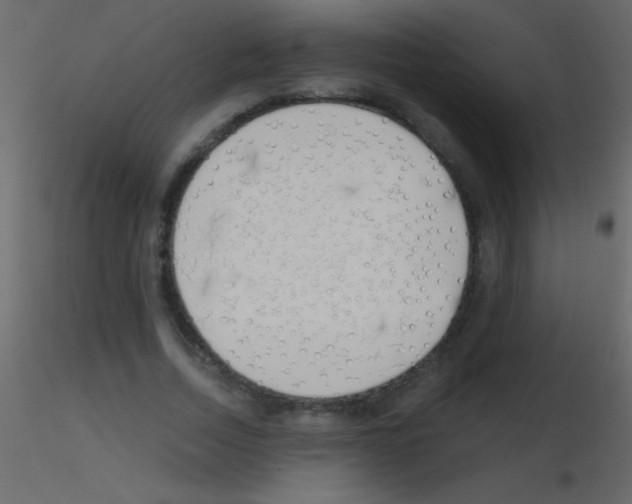 X0000115730730200912241626