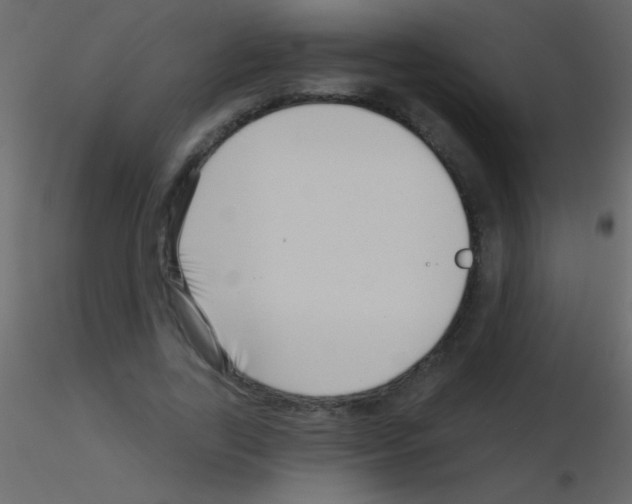 X0000115730731200912241626