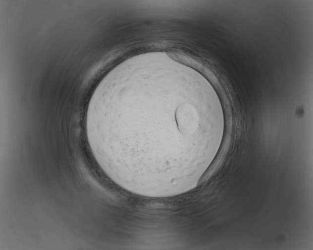 X0000115730734200912241626