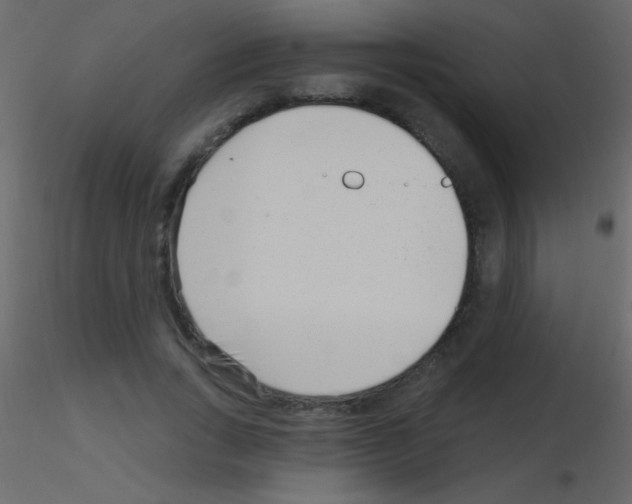 X0000115730735200912241626