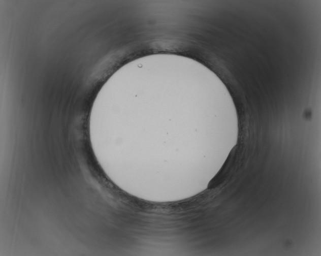 X0000115730738200912241626