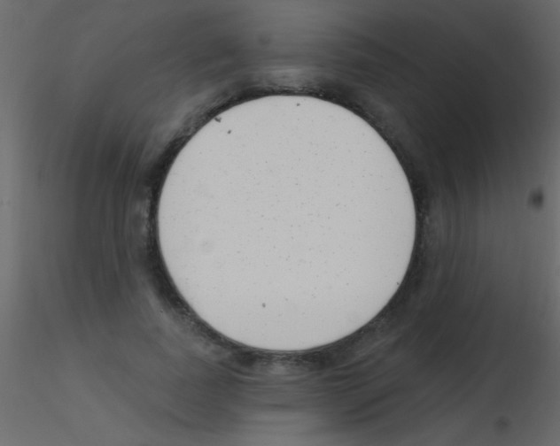 X0000115730739200912241626