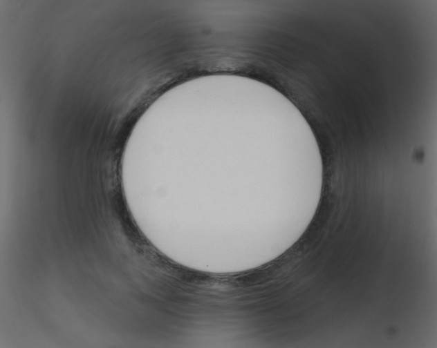 X0000115730743200912241626