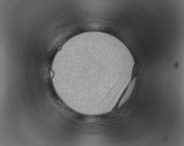 X0000115730746200912241626