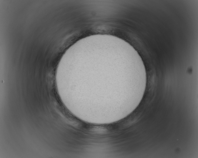 X0000115730749200912241626