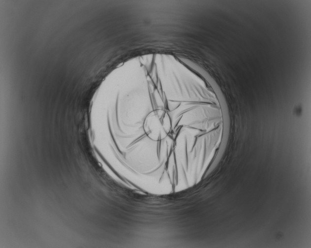 X0000115730750200912241626