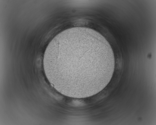 X0000115730753200912241626