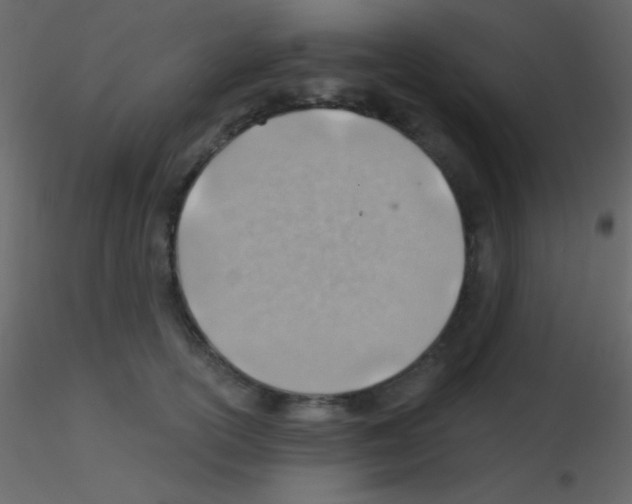 X0000115730754200912241626