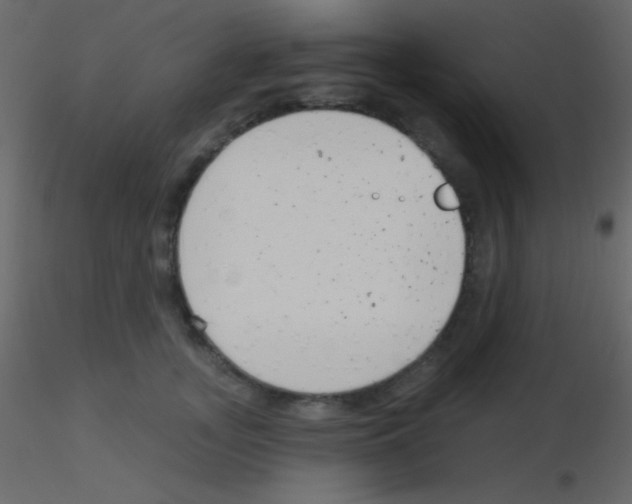 X0000115730755200912241626