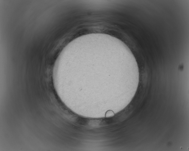 X0000115730757200912241626
