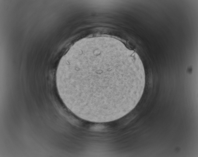 X0000115730759200912241626