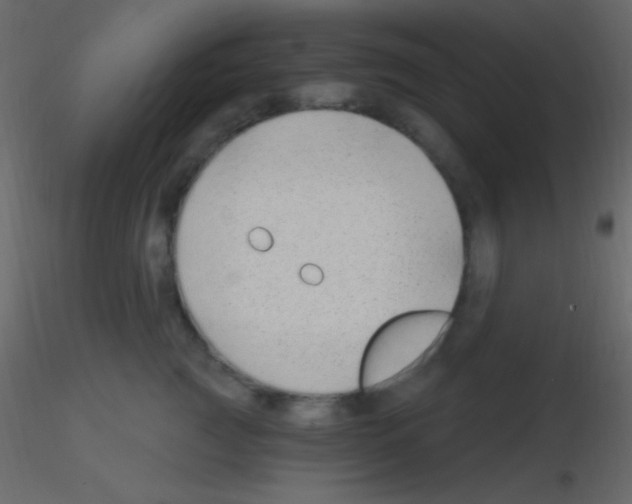 X0000115730761200912241626