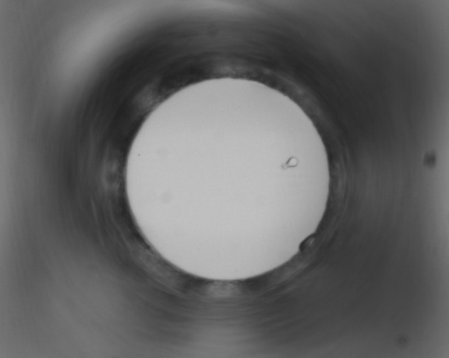 X0000115730762200912241626