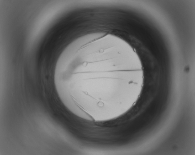 X0000115730766200912241626