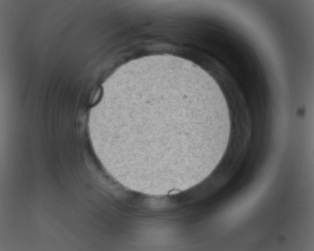 X0000115730767200912241626