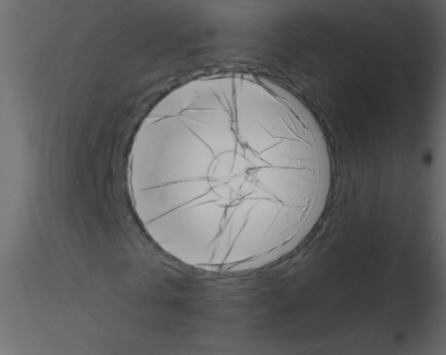 X0000115730769200912241625