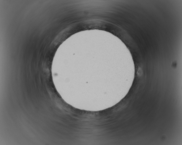 X0000115730771200912241625