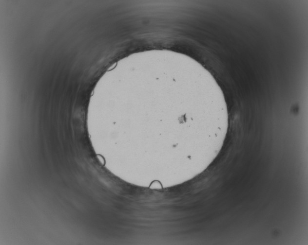 X0000115730772200912241625