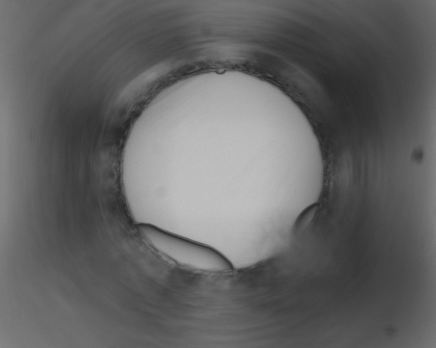 X0000115730773200912241625