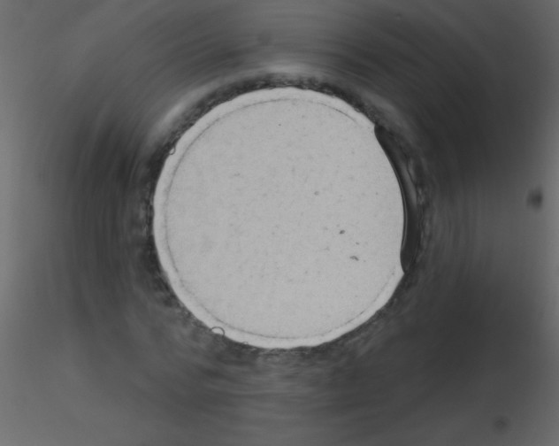 X0000115730776200912241625