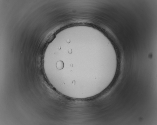 X0000115730777200912241625