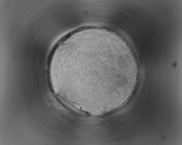 X0000115730779200912241625