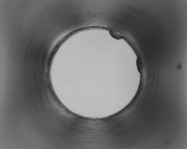 X0000115730780200912241625