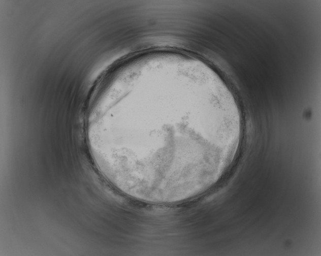 X0000115730782200912241625