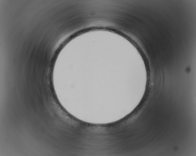 X0000115730783200912241625