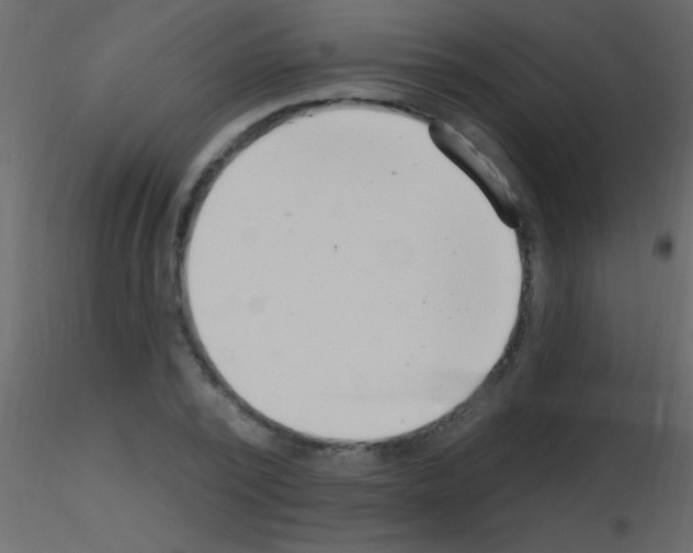 X0000115730784200912241625