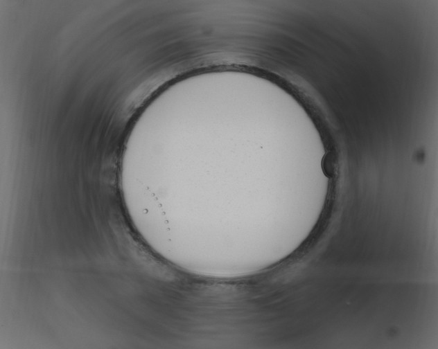 X0000115730785200912241625