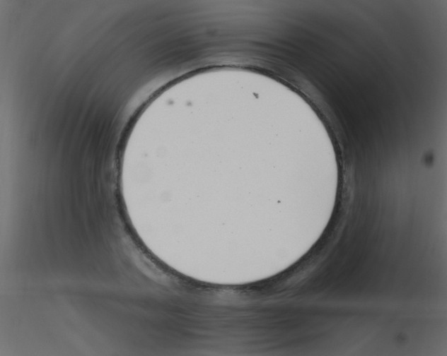 X0000115730787200912241625
